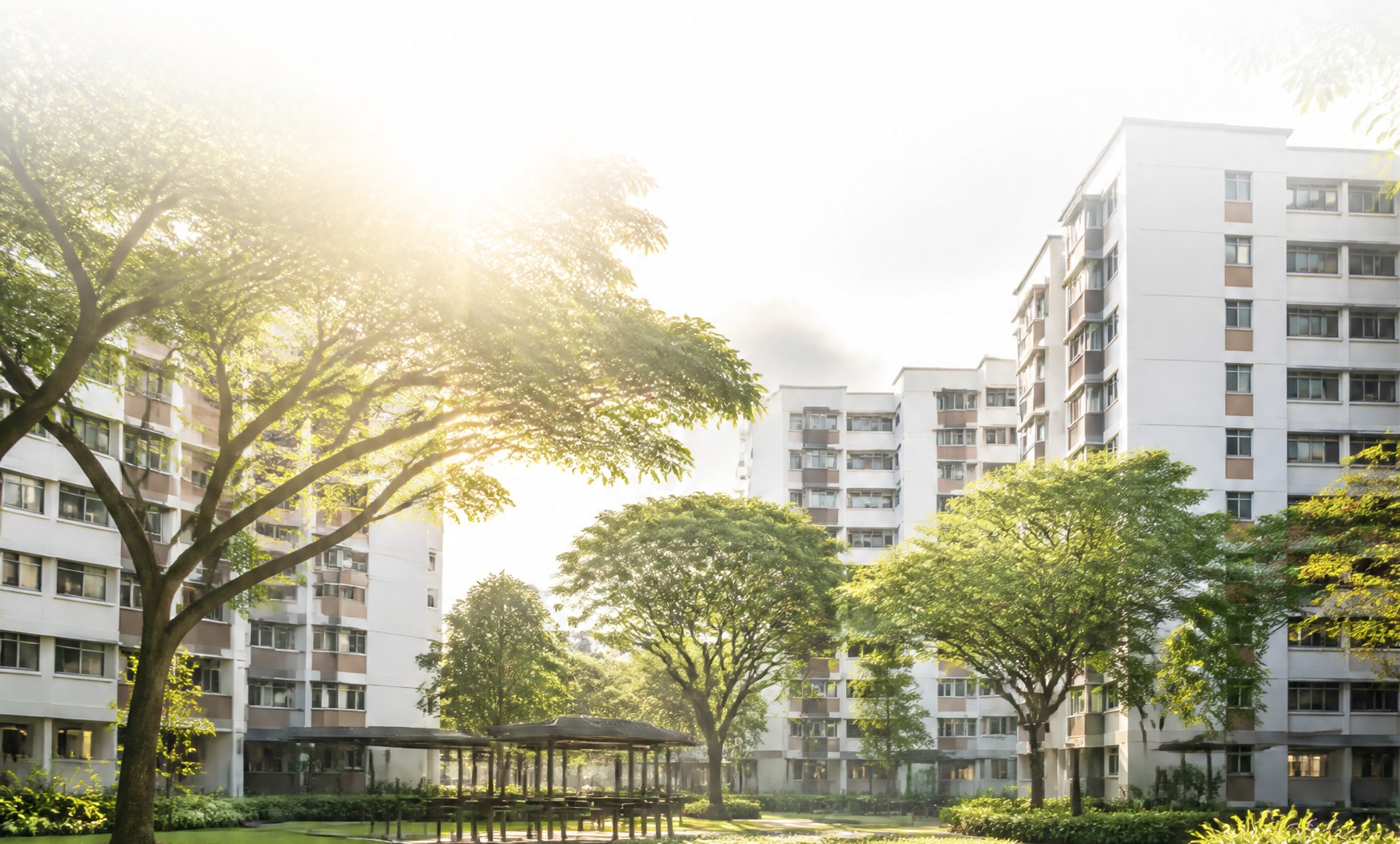 Sunlit courtyard of a mature HDB estate